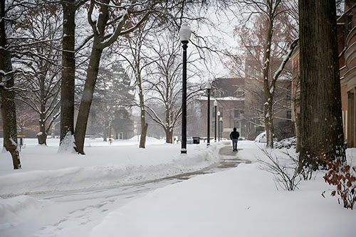Odśnieżanie posesji zimą